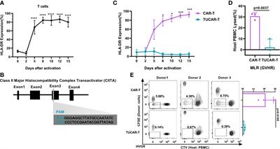 Simultaneous editing of TCR, HLA-I/II and HLA-E resulted in enhanced universal CAR-T resistance to allo-rejection